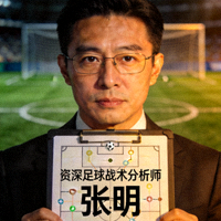 专题作者头像 - 资深足球战术分析师张明